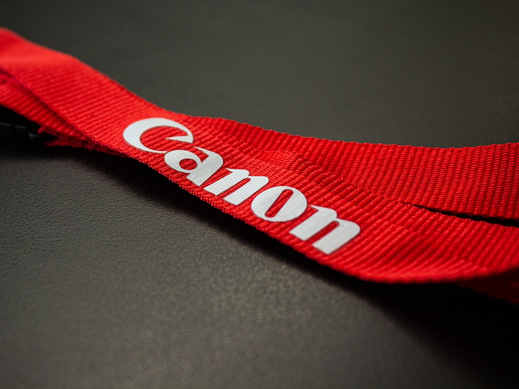 Lanyard- Pack of 20