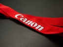 Lanyard- Pack of 20